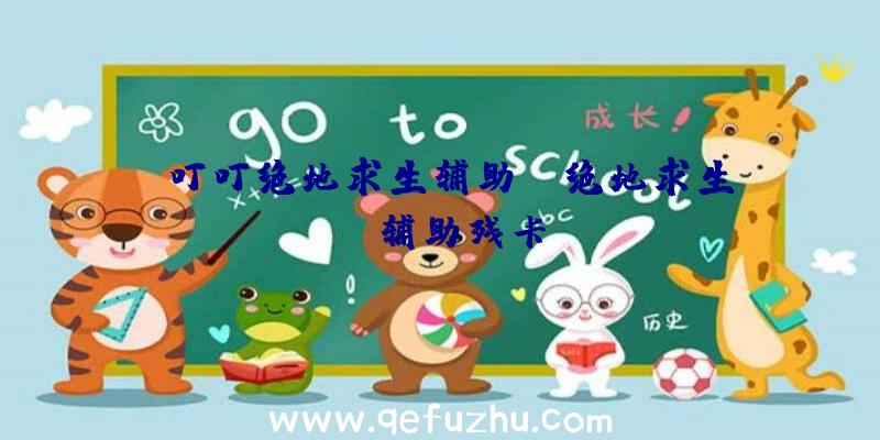 「叮叮绝地求生辅助」|绝地求生bo辅助残卡